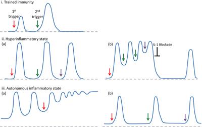 Dynamics of Inflammatory Response in Autoinflammatory Disorders: Autonomous and Hyperinflammatory States